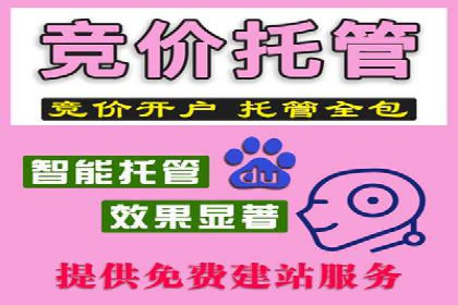 信息流广告投放：成功案例解析