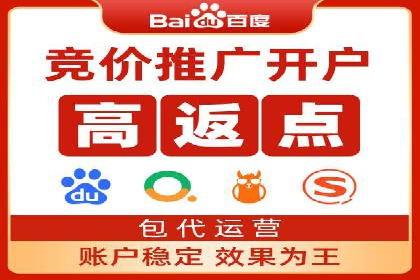 百度推广实战：成功案例解析